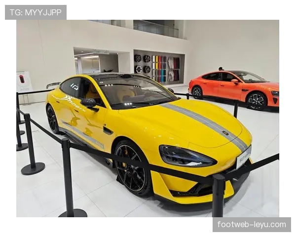 阿萨尔森那架私人飞机停了三天，城里不少人都认不出这不是明星豪车了吧？