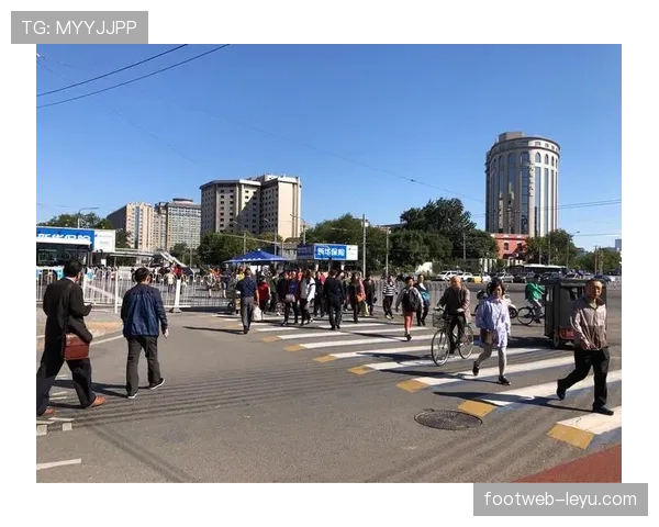 张楠家的冰箱里塞满了能量胶，连饮料都按训练时间表排好队